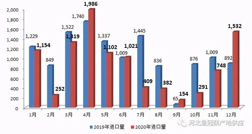 2020年我国鲜梨进出口概况 出口增长,进口减少